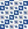 Licensed NCAA University of Kentucky Collegiate Check Cotton Fabric by the Yard
